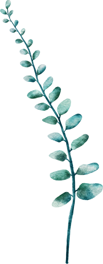 Duża zielona gałąź liści